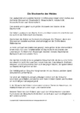 Fehlerlesen-Stockwerke-des-Waldes-nur-Text-1-2.pdf